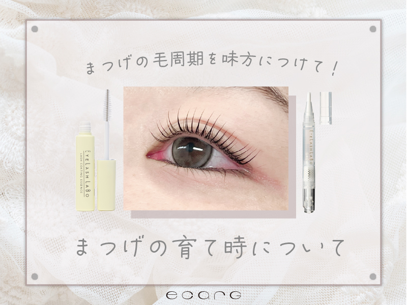 まつ毛にも“育てどき”があるって知っていました？